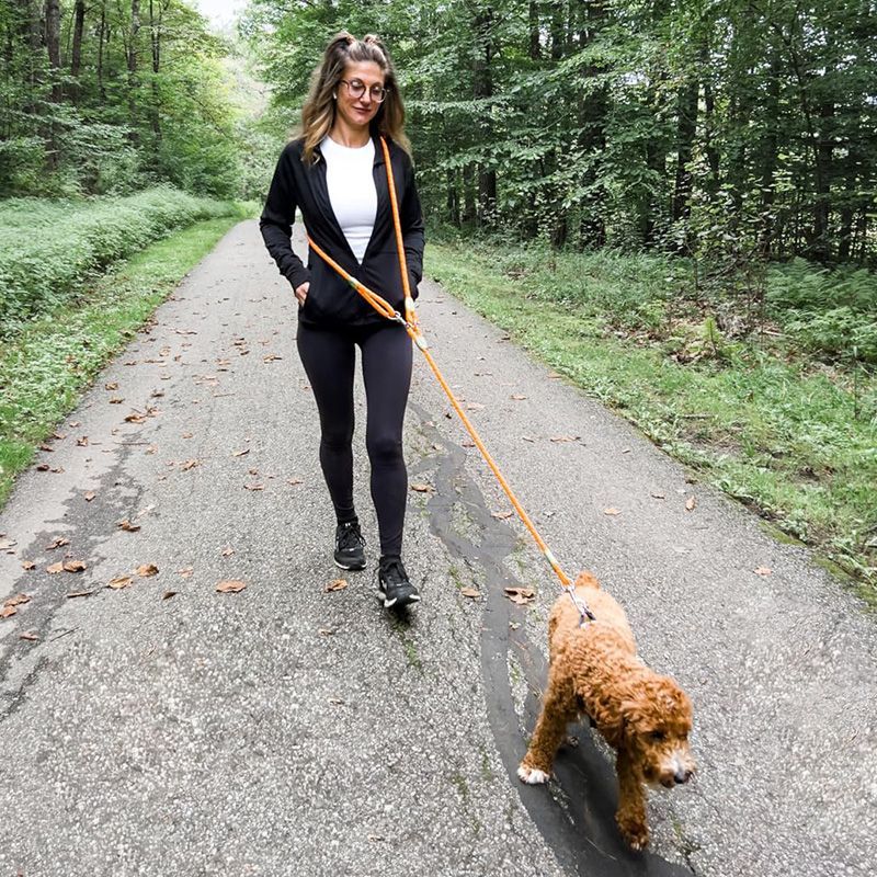 Running Gear Holder - Guinzaglio per cani con elementi riflettenti,