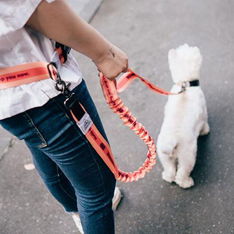Guinzaglio per cani regolabile - Running Gear Holder recensione e prezzo