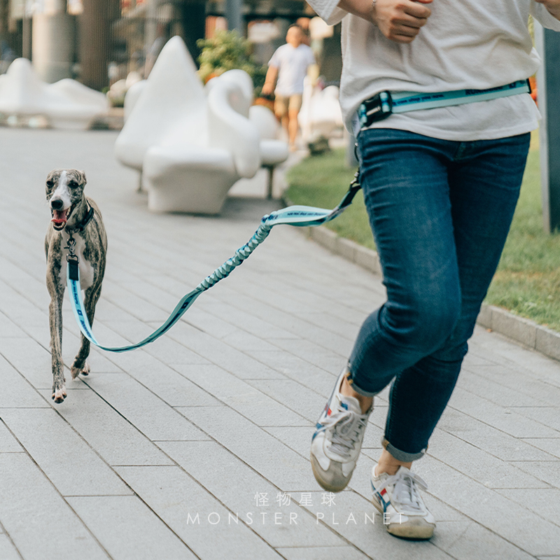 Guinzaglio per cani regolabile - Running Gear Holder recensione e prezzo