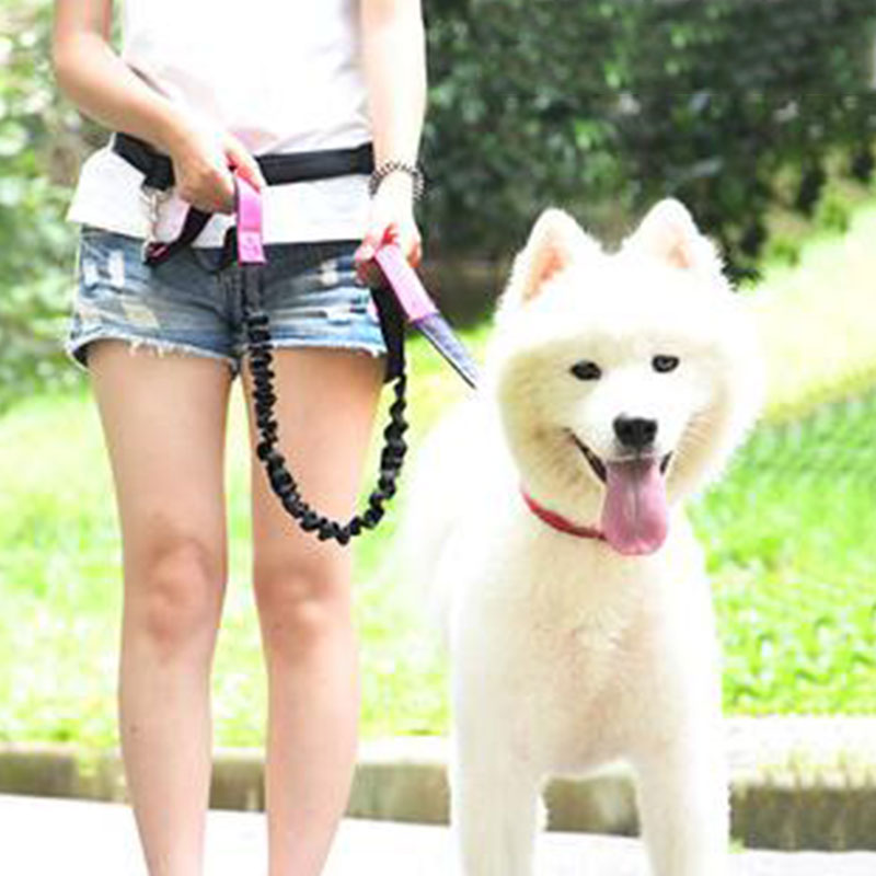 Guinzaglio per cani regolabile - Running Gear Holder recensione e prezzo